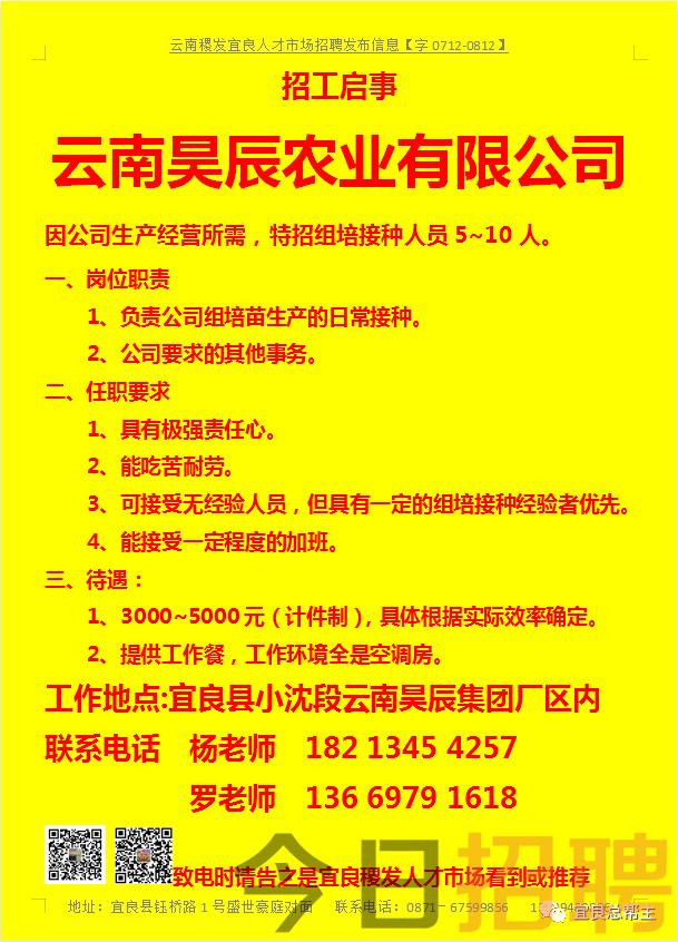陸良招聘網(wǎng)最新招聘動(dòng)態(tài)及其區(qū)域影響力分析